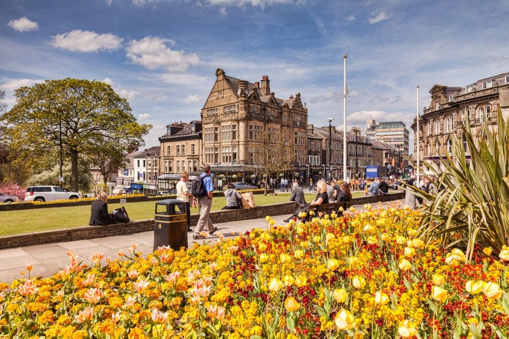 Reed Recruitment Agency Harrogate