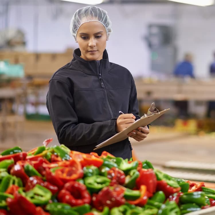 Food and FMCG salary guide 2024 | Reed.com | Reed